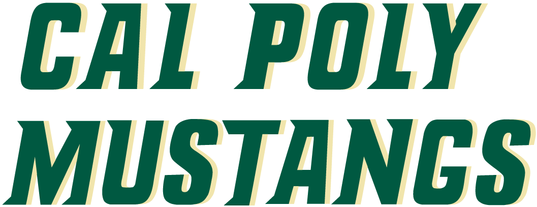 Cal Poly Mustangs 2000-2006 Wordmark Logo iron on transfers for T-shirts